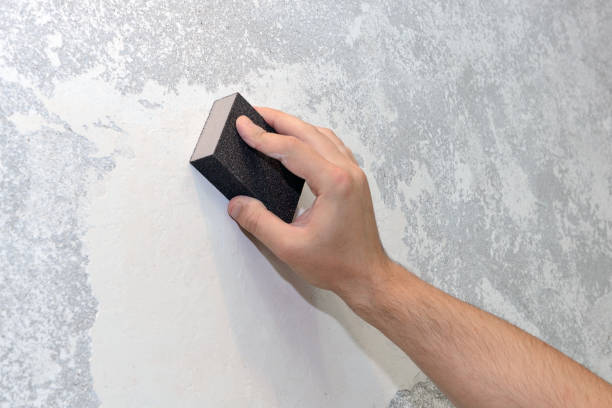 Best Mold Documentation for Insurance Claims  in Suncook, NH