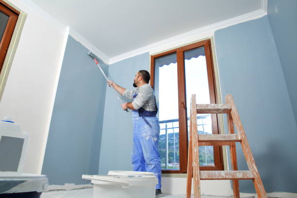 Best Emergency Mold Remediation  in Suncook, NH