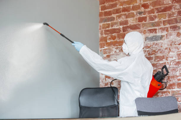 Best Air Quality Testing for Mold Spores  in Suncook, NH