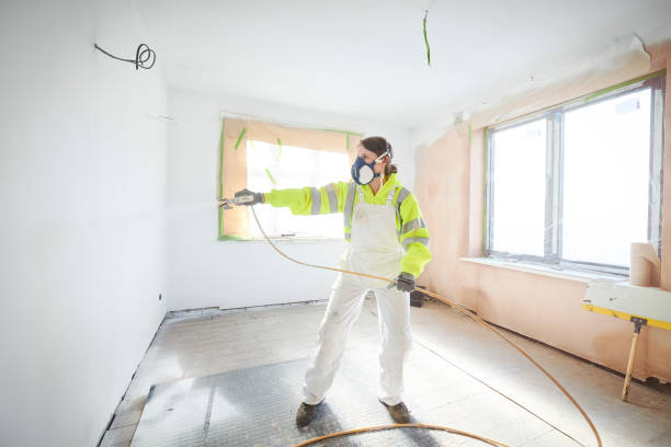 Best Mold Odor Removal Services  in Suncook, NH
