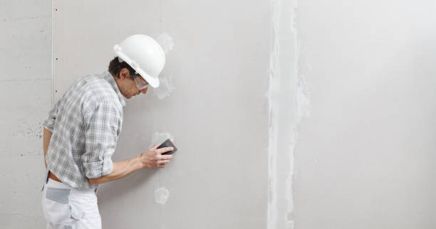 Best Mold Damage Restoration  in Suncook, NH