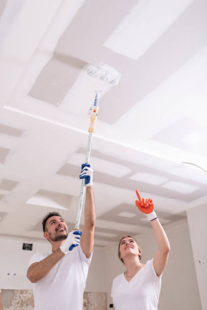 Reliable Suncook, NH Mold Removal Solutions