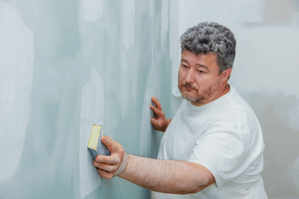 Best Mold Removal for HVAC Installations  in Suncook, NH