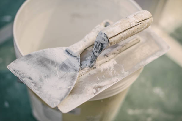 Best Mold-Related Health Consultation  in Suncook, NH
