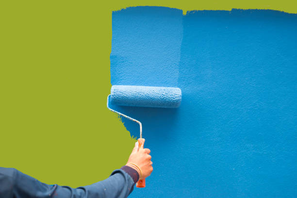 Best Black Mold Removal  in Suncook, NH