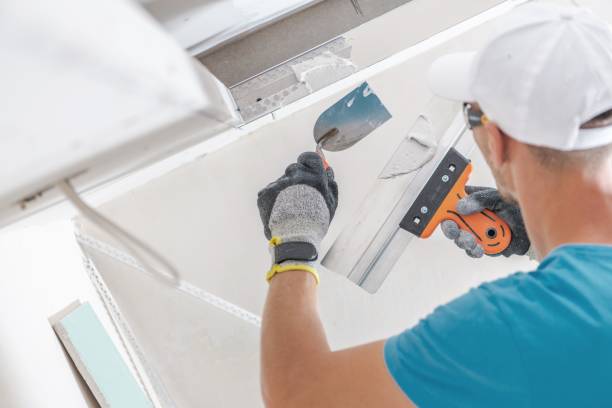 Best Black Mold Removal  in Suncook, NH